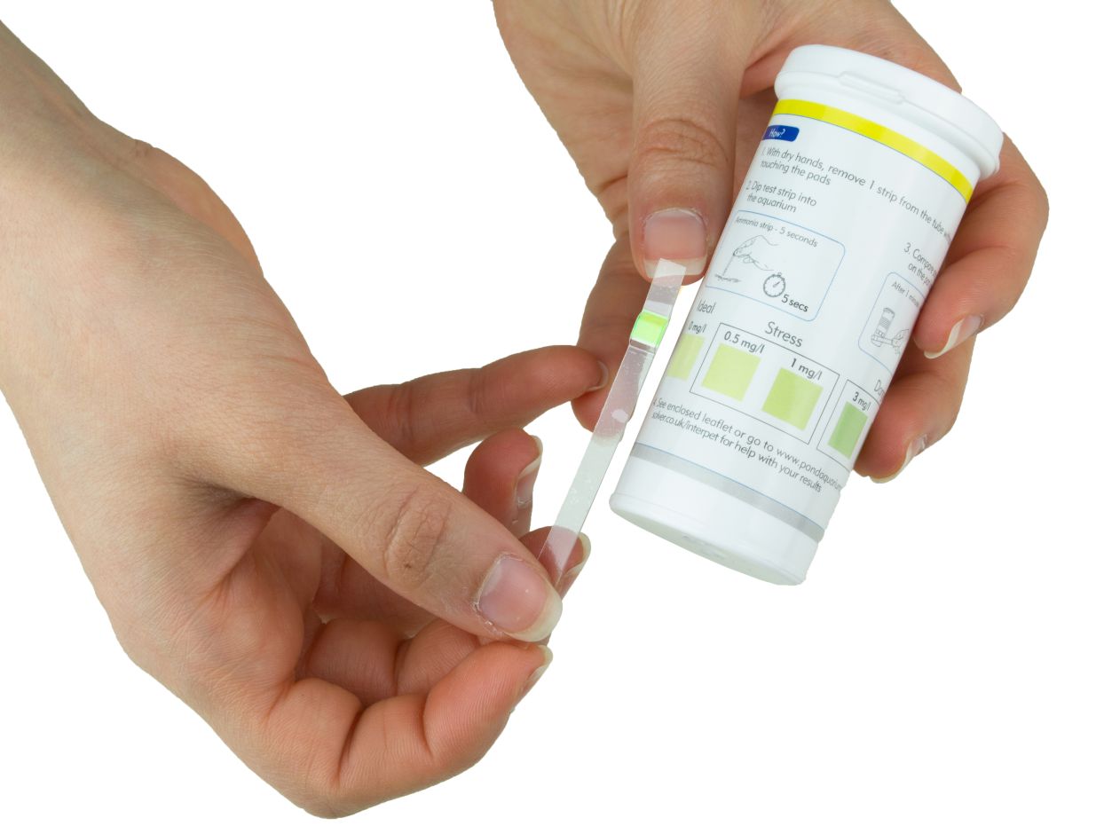 Hand holding a vial of green liquid against a colour reference chart.