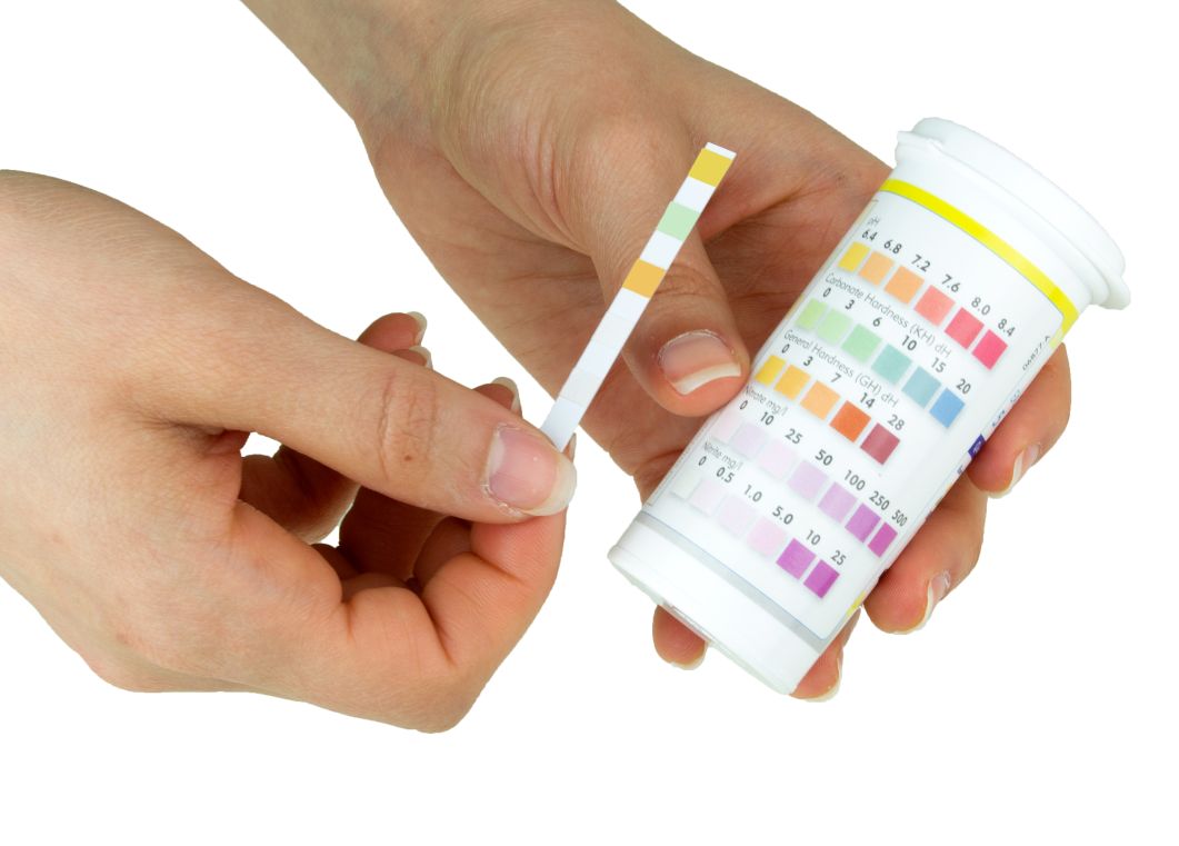 Hand holding a vial of yellow liquid against a colour reference chart.