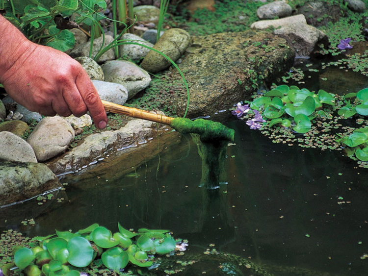 A hand holding a stick over a pond covered with think green, stringy algae