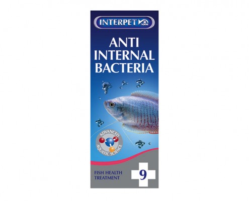 Interpet Anti Internal Bacteria Old Packaging